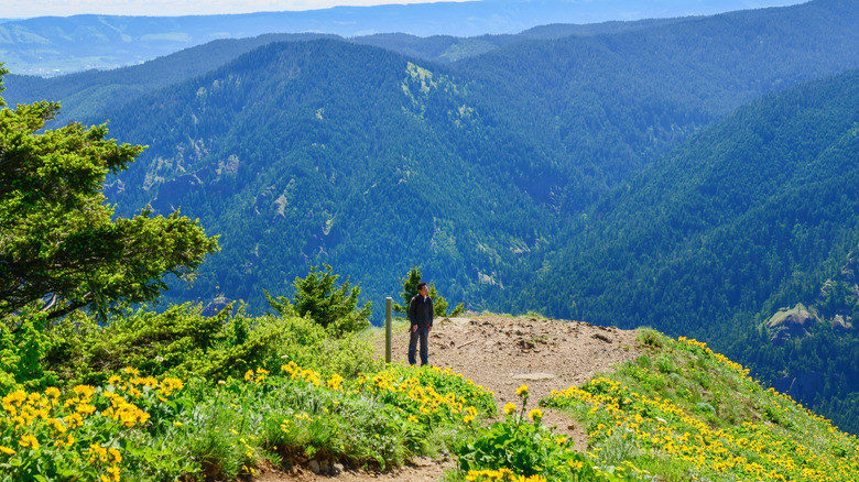 A hiker standing on a lookout point on the Dog Mountain Trail, Washington