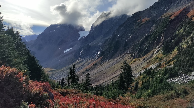 Scenic view at the nearby North Cascades National Park