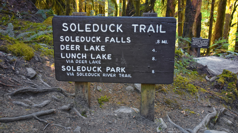 Trailhead sign for Sol Duc Falls