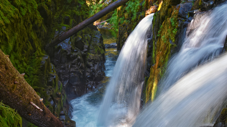 Flowing Sol Duc Falls in Washington