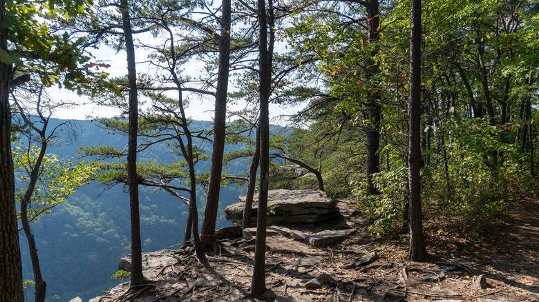 Sheer drop from endless wall trail
