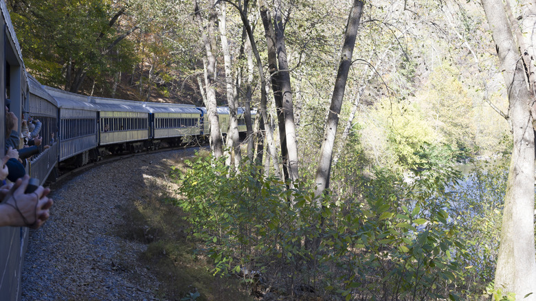 The Potomac Eagle train surrounded by forest