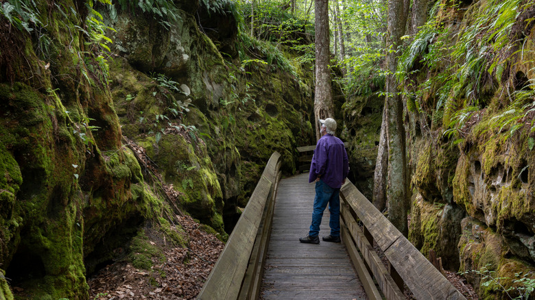 Person standing on boardwalk at Beartown State Park