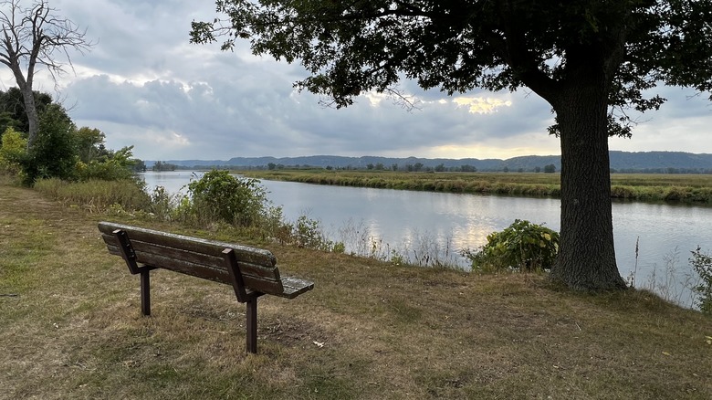 The Mississippi River and canoe trail at Goose Island County Park
