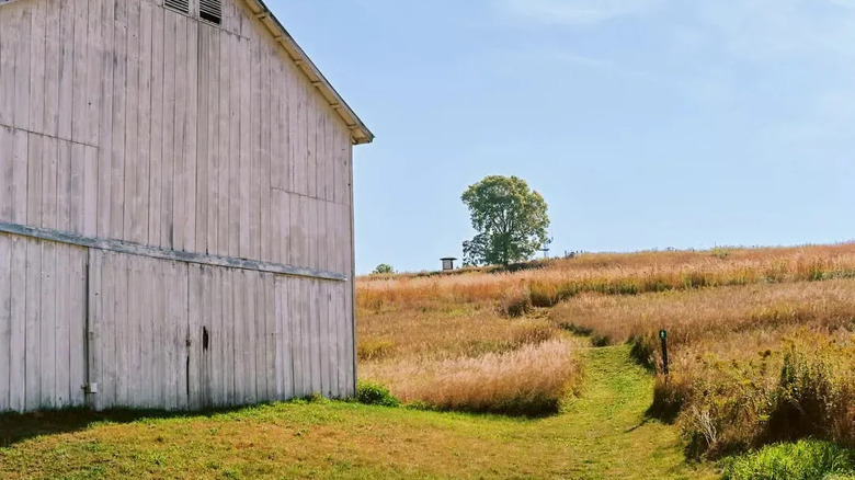 A barn in Westport Prairie on a sunny day