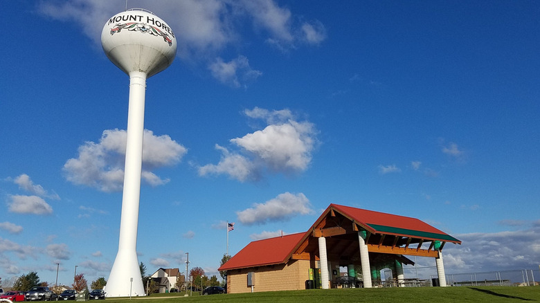 Water tower and park pavilion in Mount Horeb, Wisconsin, set on a grassy hill under a blue sky with scattered clouds