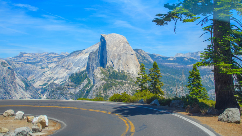 Glacier Point Road Vista Curve with Half Dome in the background