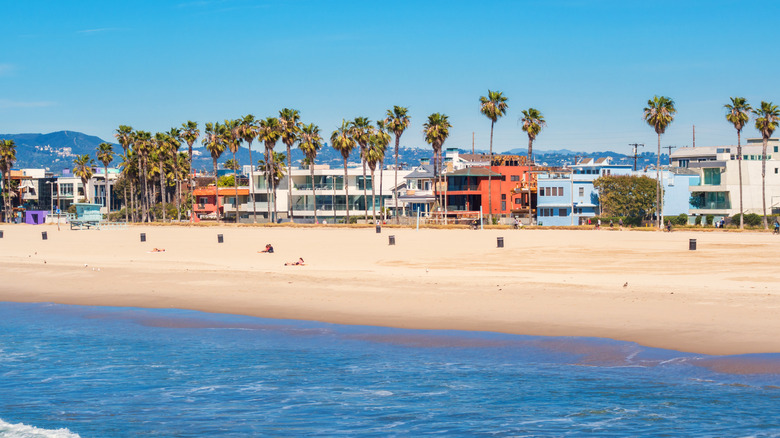 Venice Beach, California with palm trees and buildings along the Boardwalk