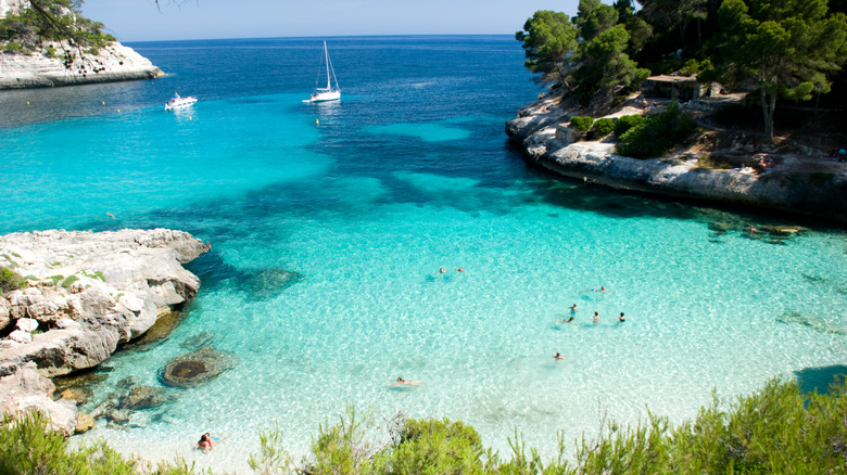 Turquoise sea waters surrounded by pine trees