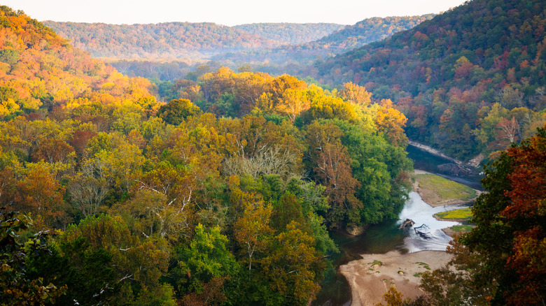 Fall foliage in Mammoth Cave National Park in Kentucky