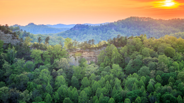 View from a Daniel Boone National Forest hiking trail, featured as one of Kentucky's Trail Towns' routes