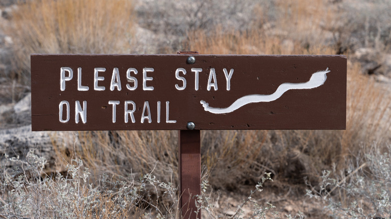 A brown sign on a hiking trail warns "please stay on trail" and displays a painted white snake graphic