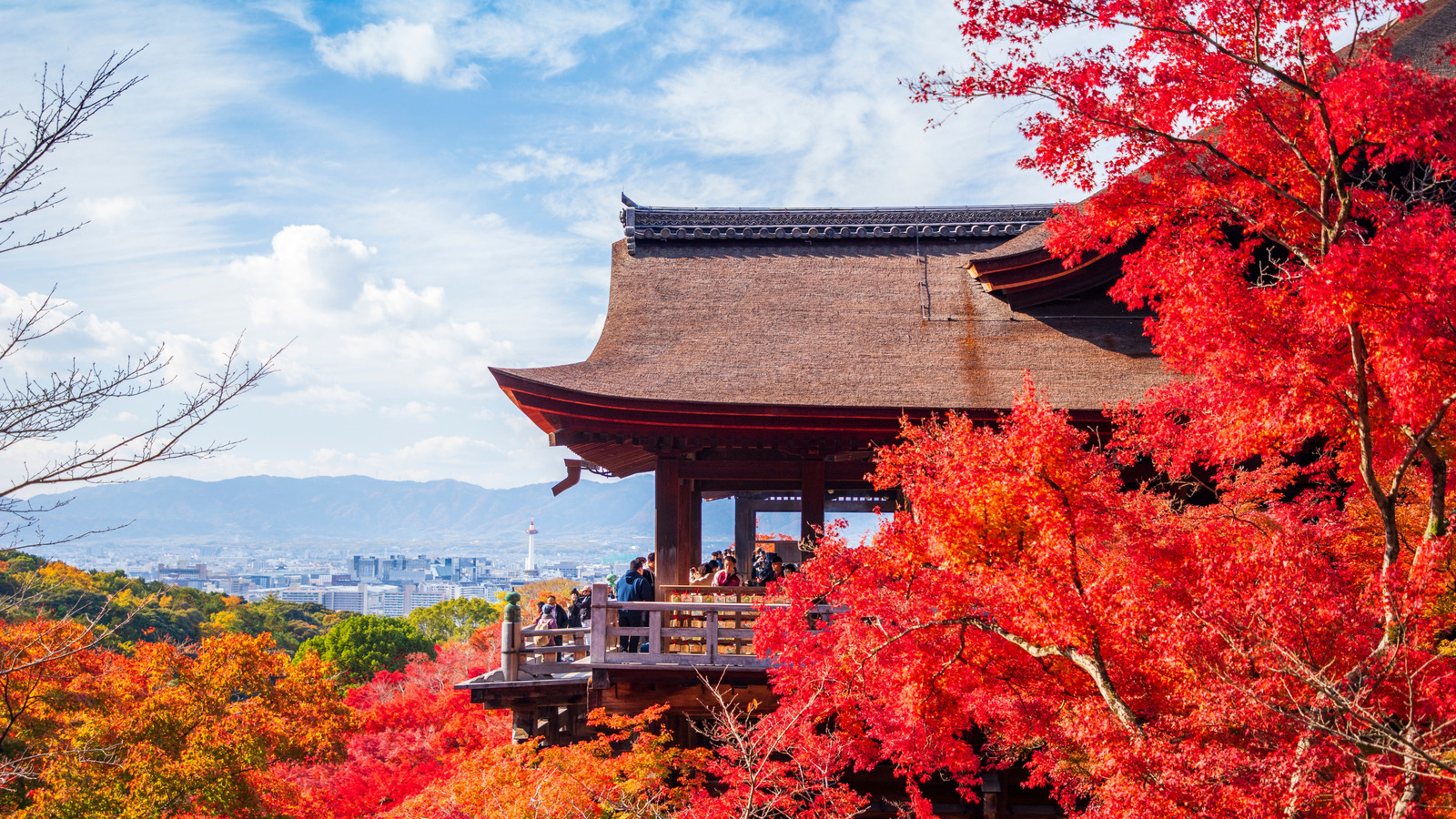 One Super-Affordable Way Of Traveling Throughout Japan Is Only