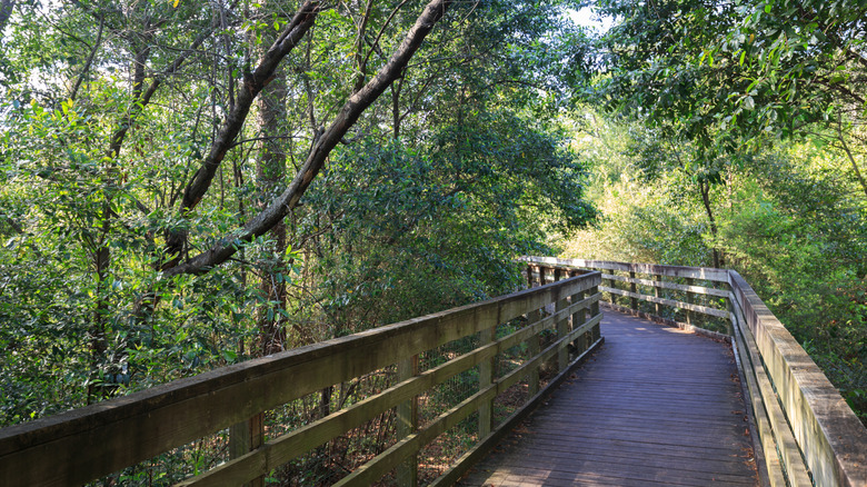 Houston Arboretum & Nature Center