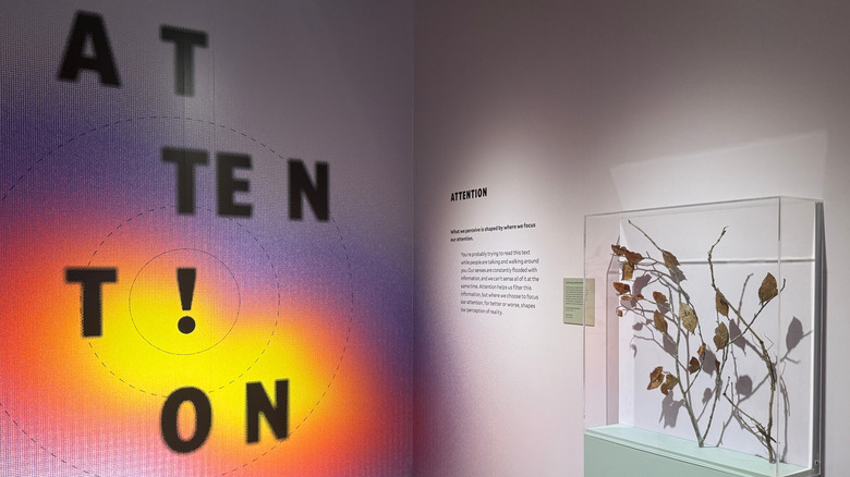 An exhibit inside Yale Peabody Museum, New Haven, CT