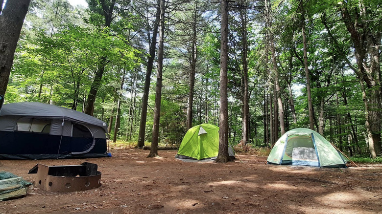 campsite in Turkey Point Provincial Park, Ontario, Canada