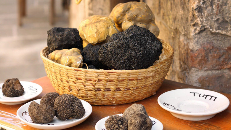 Truffles on display in Umbria, Italy