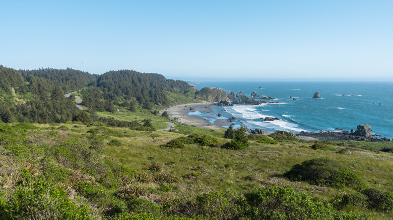 An aerial view of Cape Ferrelo in the Samuel Boardman Scenic Corridor