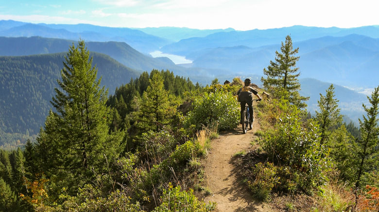 A mountain biker on a trail near Oakridge, Oregon