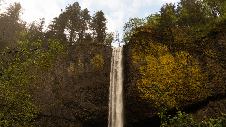 Lower Latourell Falls in Oregon's Guy W. Talbot State Park in the Columbia River Gorge