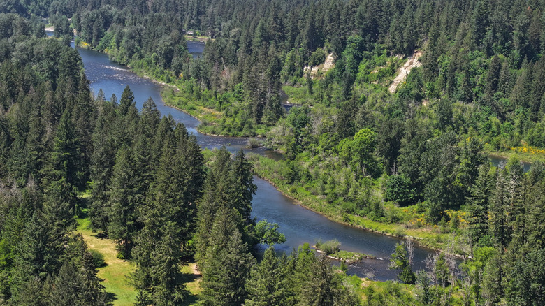 Aerial view of the Clackamas River at Milo McIver State Park, Oregon