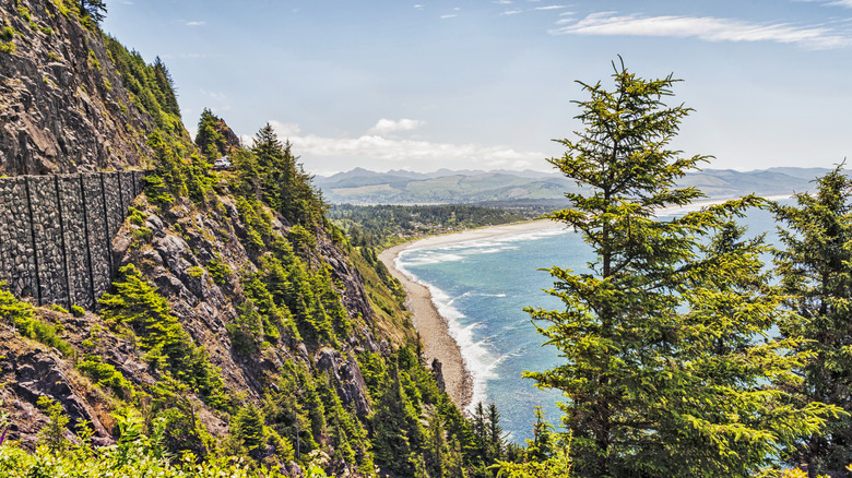 Coastal cliff view from Oswald West State Park, Oregon