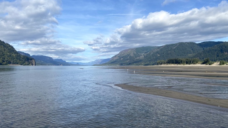 Sandy beach, river, and mountains at Rooster Rock State Park on the Columbia River in Oregon