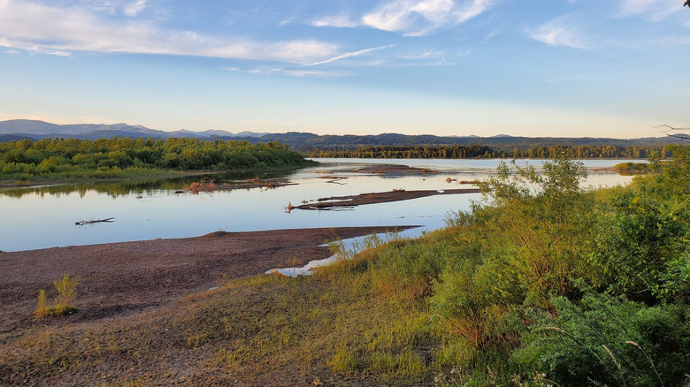 Water and green foliage with mountains at the Sandy River Delta near Portland