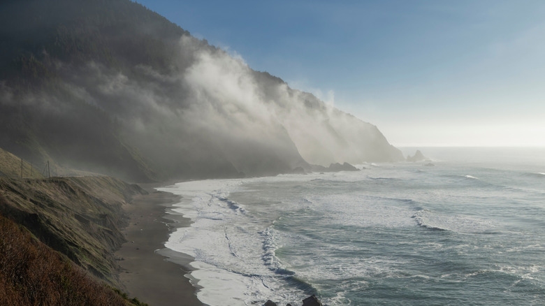 view of Humbug Mountain beach on the Oregon Coast