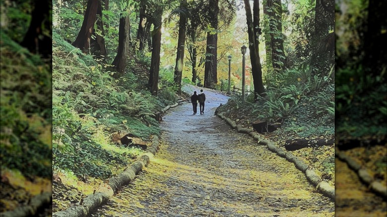 Trail through Washington Park towards Burnside