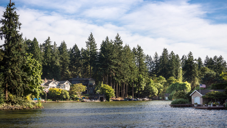 Coastal view of homes in Lake Oswego