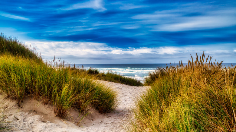 A view of an entry pathway at Manzanita Beach