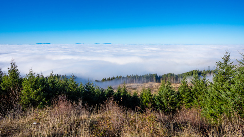 picture above the clouds of Coburg, Oregon
