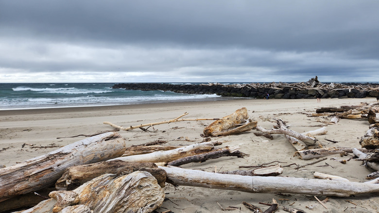 Nedonna Beach, OR