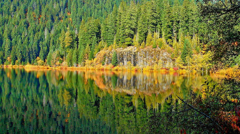Trees reflecting on the surface of Carmen Reservoir