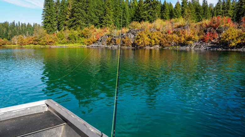 A fishing rod is cast from a boat on the lake with fall foliage in the background