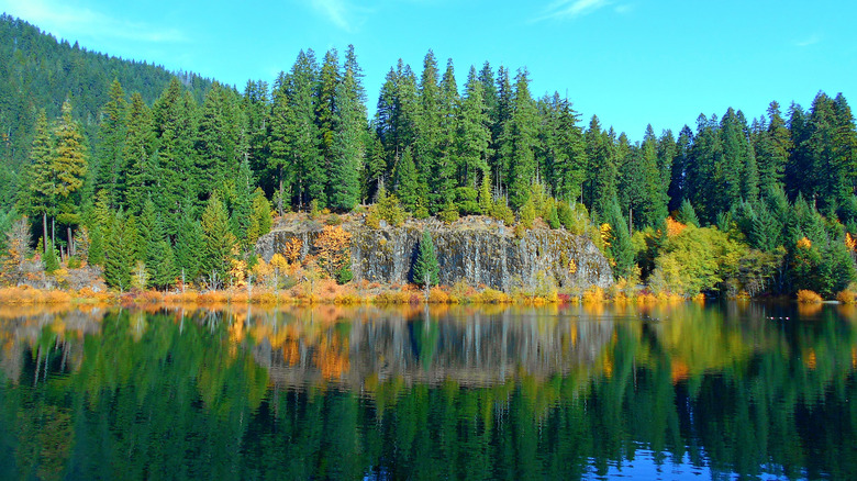 A view of the Carmen Reservoir in Oregon with water in the foreground and forest in the background