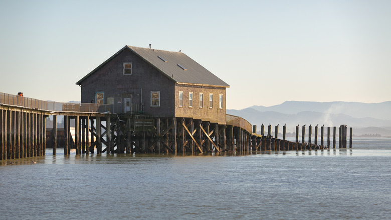 Pier's End and Boat House in Garibaldi