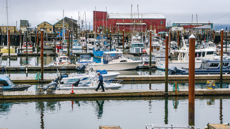 the port of Garibaldi with multiple docks that have boats parked along them