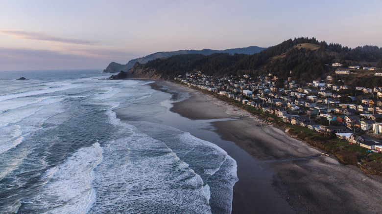 driftwood beach at Lincoln City, Oregon