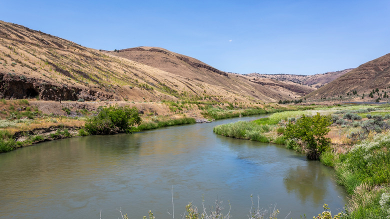 The Malheur River lined by green and sand-colored bushes