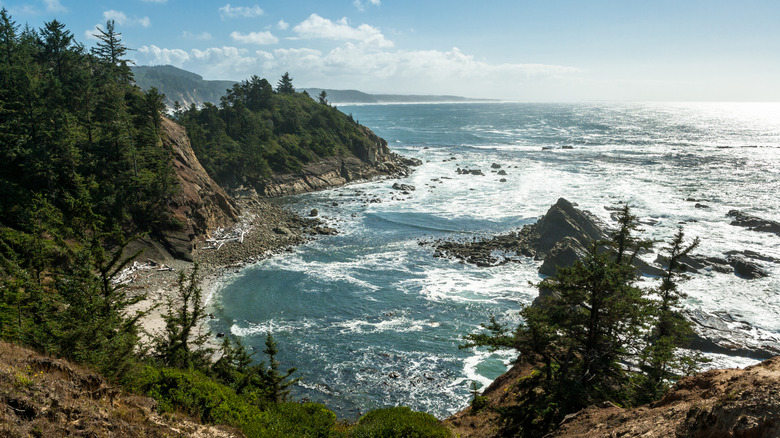 Rugged cliffs give way to big ocean waves at the Cape Arago State Park