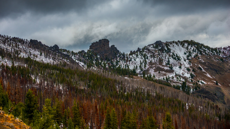 Strawberry Mountain Wilderness in Oregon