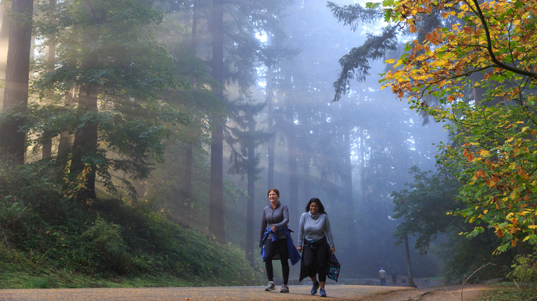 Two women hiking in Mount Tabor Park, Portland, Oregon