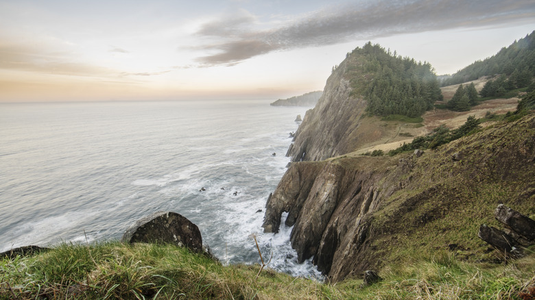 View of a cliff and shoreline in Manzanita, Oregon
