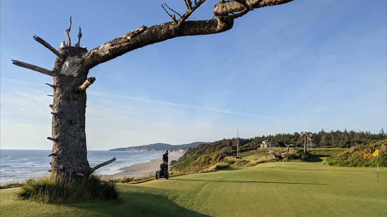 Golf course at Bandon Dunes Golf Resort, Oregon, with the ocean as the backdrop
