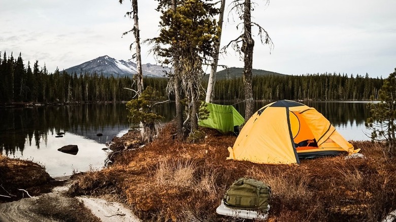 Tent and camping gear on island in Summit Lake trees and mountain behind
