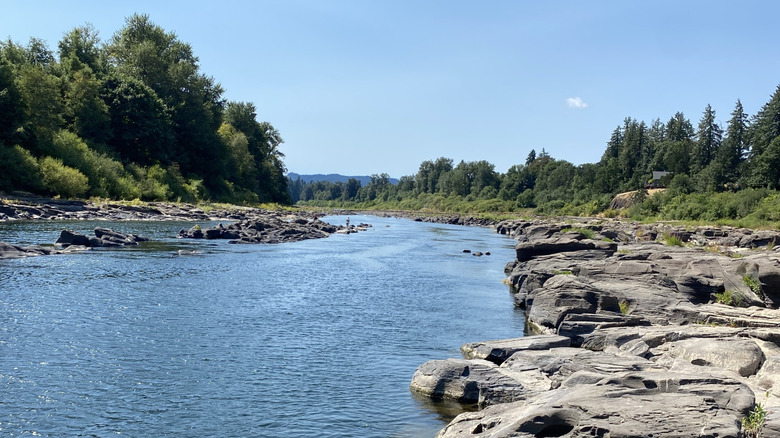 Umpqua River in Elkton, Oregon, lined by rocks and trees