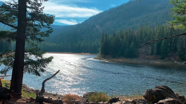 Strawberry Lake with sun reflecting off water and forest on other side