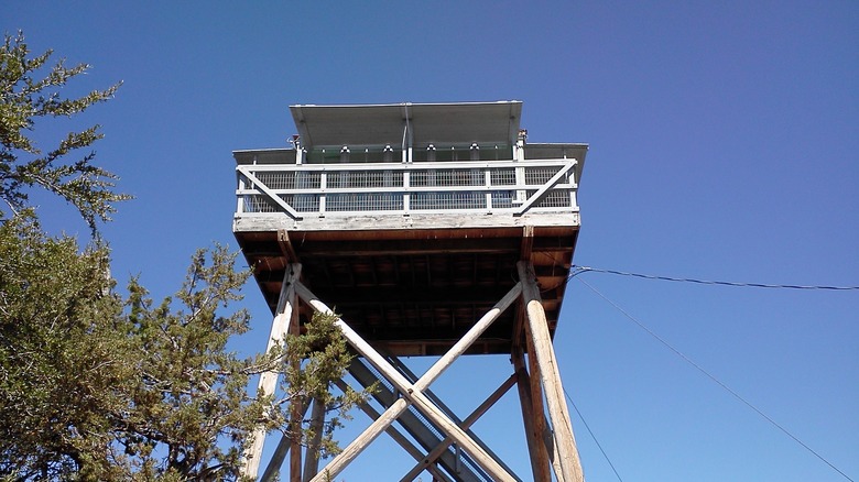 Fall Mountain Lookout Cabin on top of tall wooden stilts next to tree tops